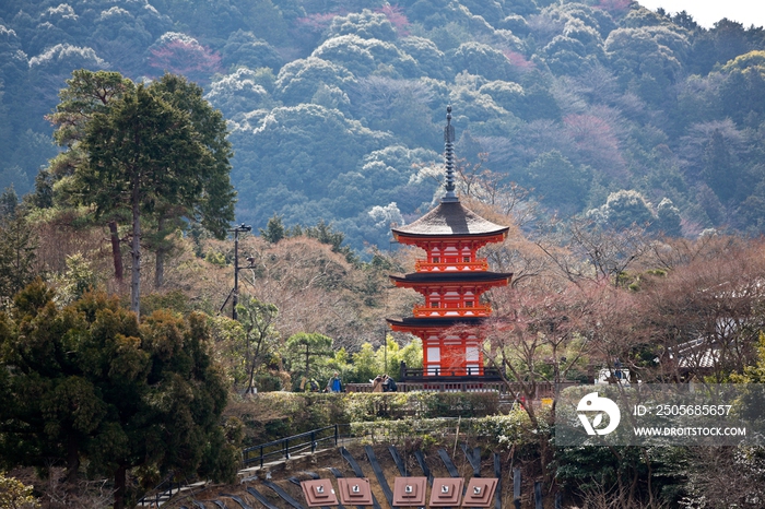 日本清水寺