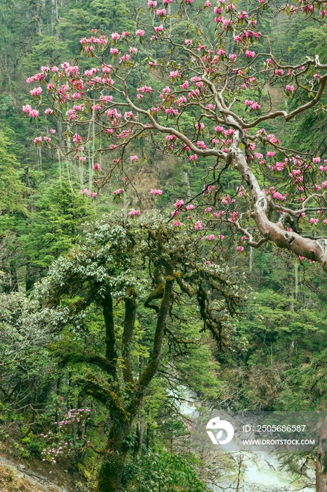 中国西南部山区风光