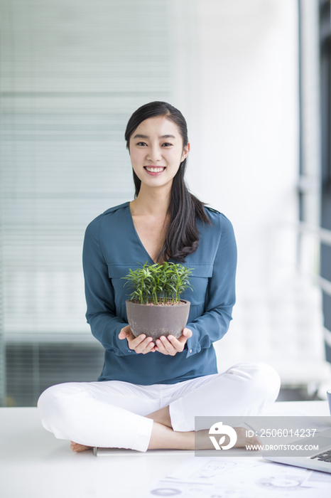 年轻商务女士抱着盆栽植物坐在办公桌上