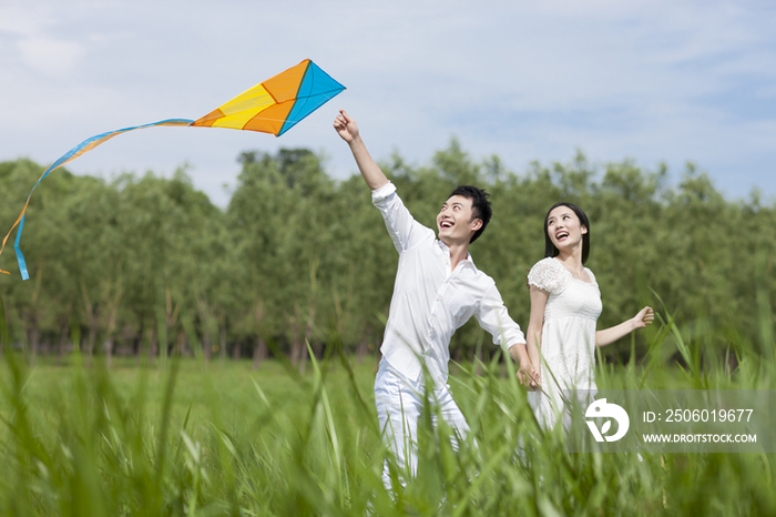 草地上的年轻情侣放风筝
