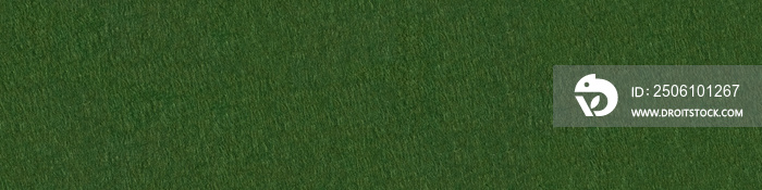 Macro shot of green felt cloth. Panoramic seamless texture, patt