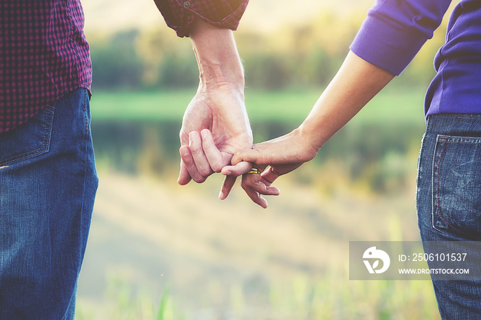 Happy couple holding hands, looking into the landscape and watching sunset while the summer vacation