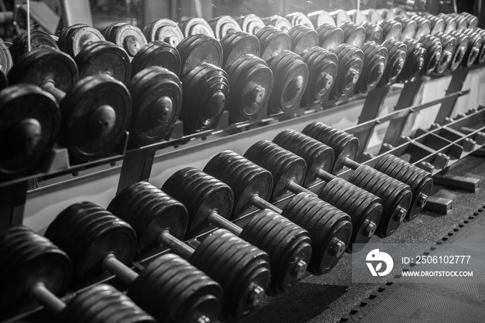 Many metal heavy dumbbells on a rack in the gym. Free Weight Training