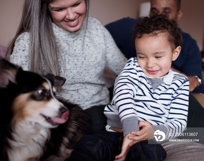 Parents with cute son looking at dog relaxing on bed in bedroom