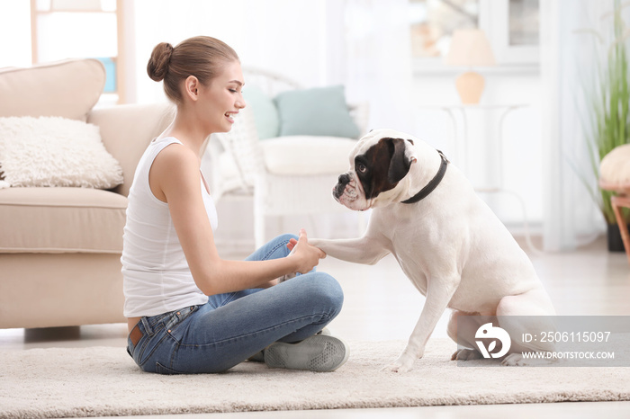 室内有一只可爱的白色拳击犬的女人。宠物收养