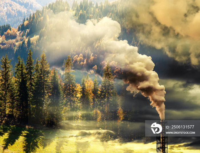 气候变化或全球变暖的旗帜——污染工厂烟雾和松林的双重暴露