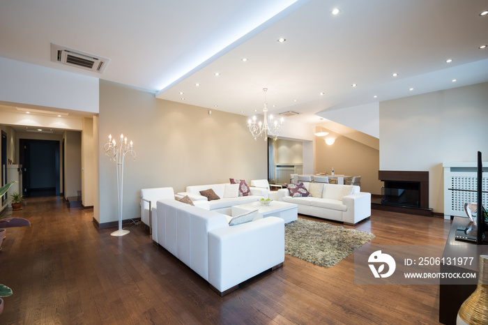 Interior of a modern spacious living room with fireplace