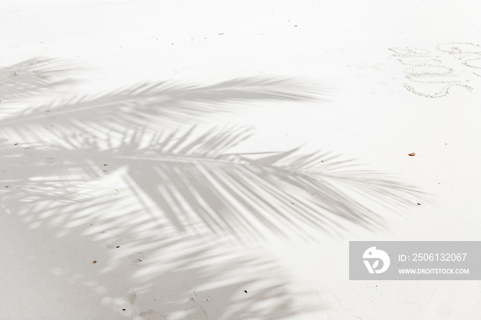 ombre de palmes sur plage de sable blanc