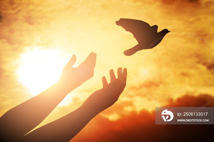 人在日落时祈祷，自由的鸟儿在享受大自然，崇拜基督教或自由的概念。silhouett