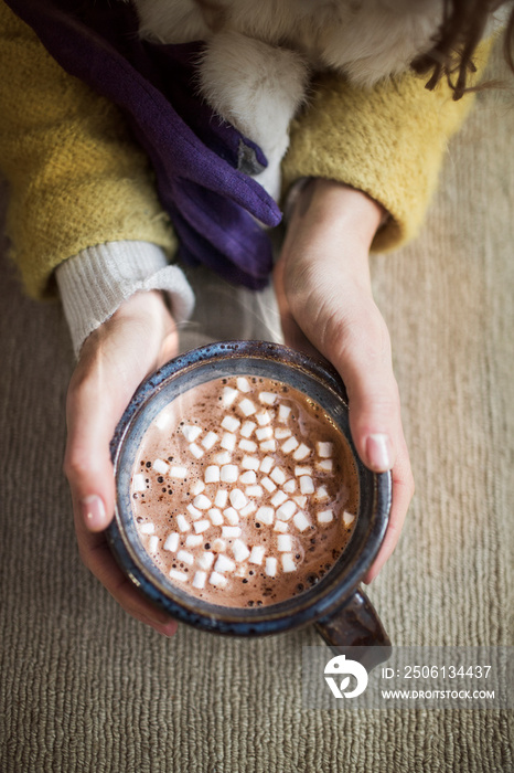 Hands of woman holding mug of coffee with marshmallows