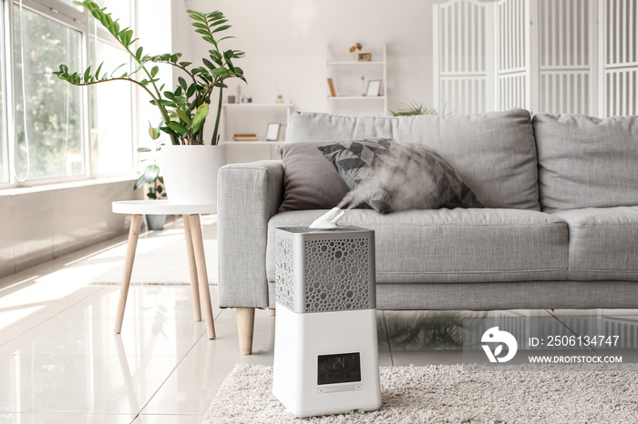 Interior of stylish living room with humidifier