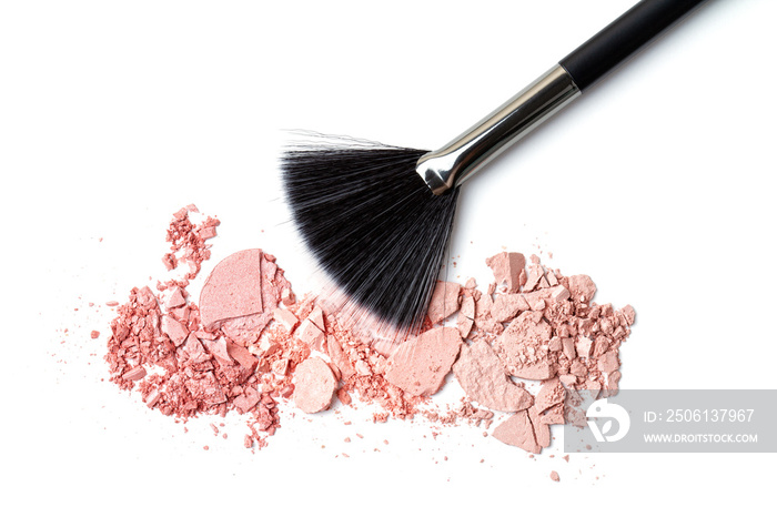 Professional make-up brush on crushed blush. Make up artist, beauty salon, beauty blog