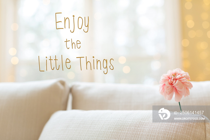 在明亮的室内沙发上放一朵花，享受小小的东西