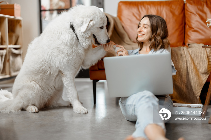 Cheerful woman working in laptop while sitting near sofa at home and playing with white dog. Digital