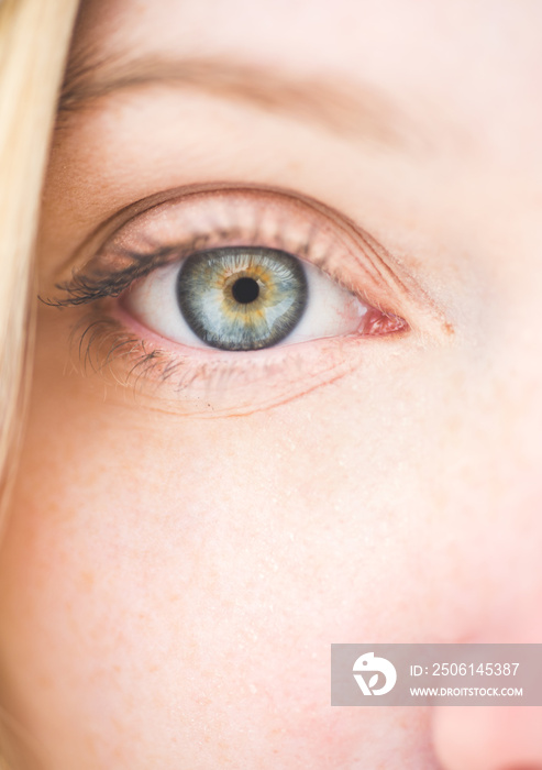 Woman eyes close up. Macro image of human eye. A beautiful insightful look womans eye.