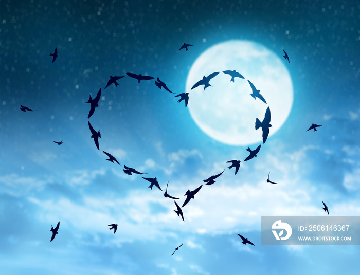 在满月的夜空中，成群的鸟儿在心里飞翔。情人节快乐。