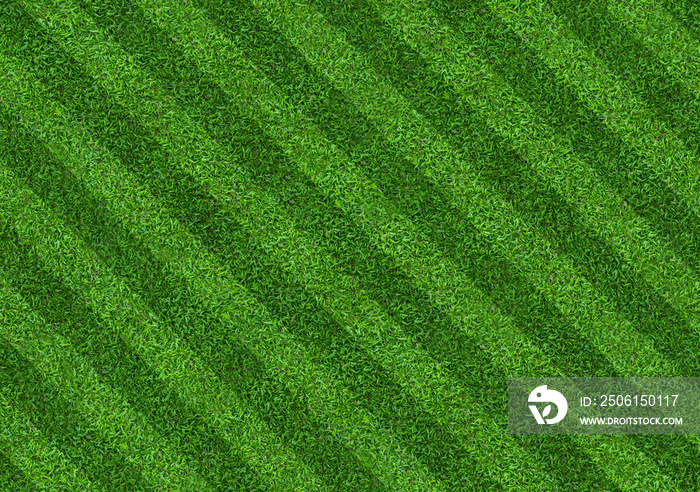 足球和足球运动的绿色草地背景。绿色草坪图案和纹理背景