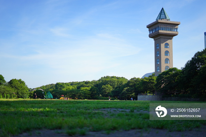 相模原市立麻溝公園