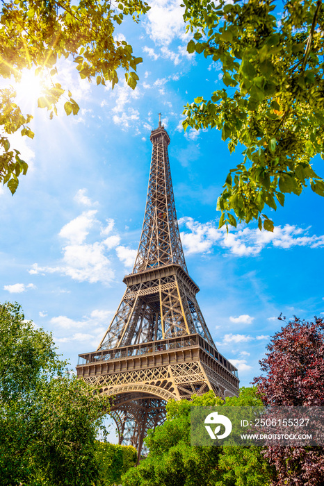 Der Eiffelturm in Paris an einem wunderschönen Sommertag mit strahlender Sonne und umrahmt von Pflan