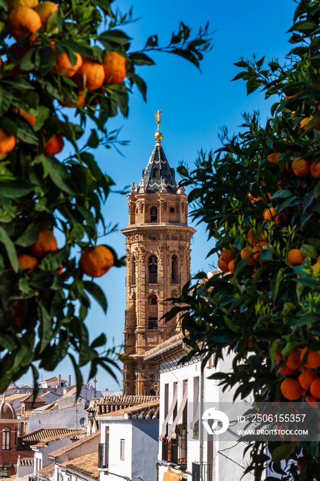西班牙安达卢西亚马拉加省安特克拉的圣塞巴斯蒂安教堂塔楼