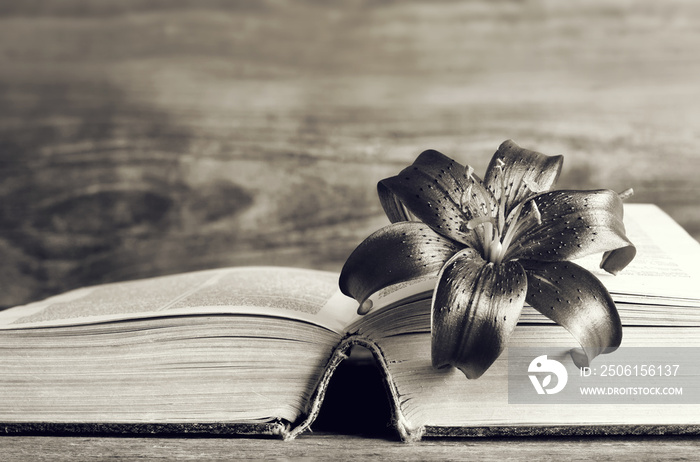 Condolence card with dark lily flower on open book