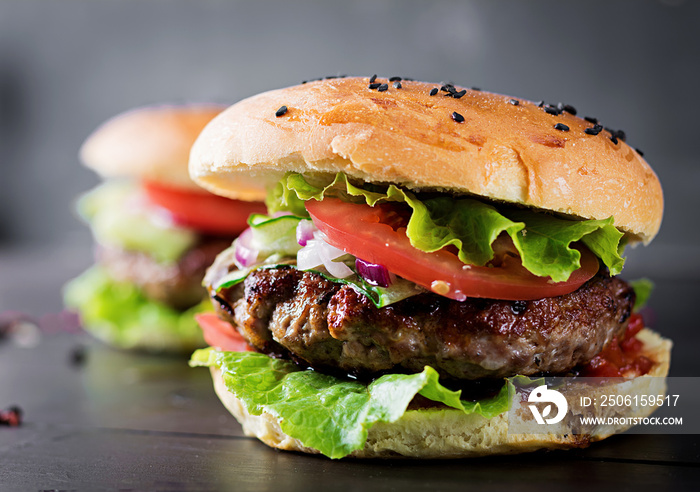 Big sandwich - hamburger burger with beef,  tomato,  red onion and lettuce.