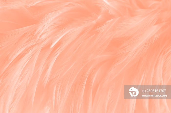 flamingo feathers background