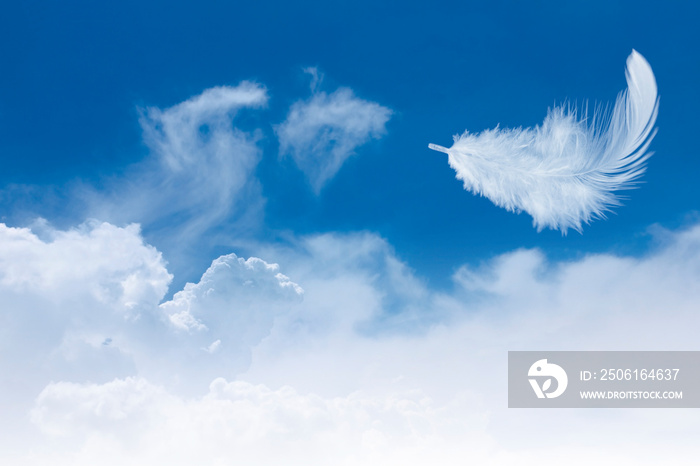 柔软的白色羽毛漂浮在多云的天空中。