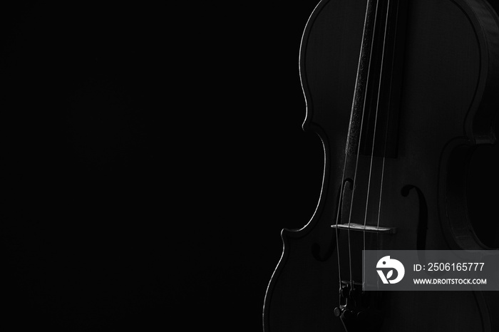 Stylish violin on dark background