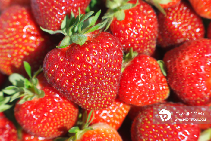 strawberry basket at the market close-up macro view