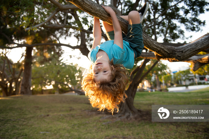 Funny little kid enjoying summer in a garden. Cute child climbing the tree. Kids playing outdoor.