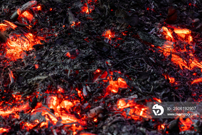 twigs and leaves burned in red or yellow bonfire blaze and some transform to ashes and black charcoa