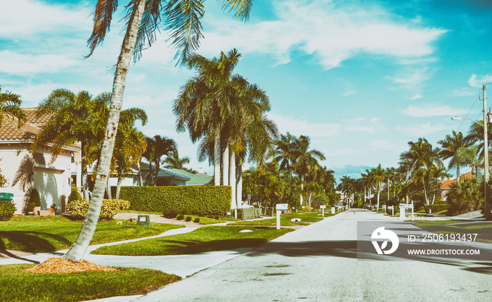 Beautiful street of Floirda with palms and homes