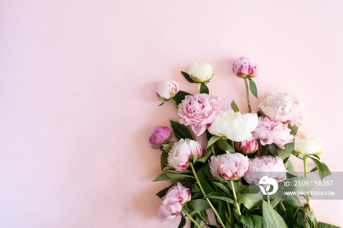 Fresh peony flowers