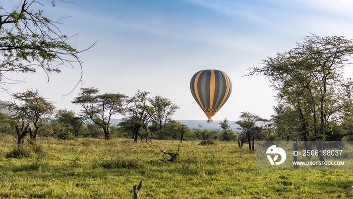 Air balloon above the savannah in the Serengeti reserve in Tanzania at  sunrise