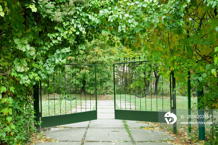 铁门在一个美丽的绿色花园