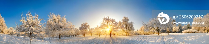 全景von zauberhafter Winterlandschaft