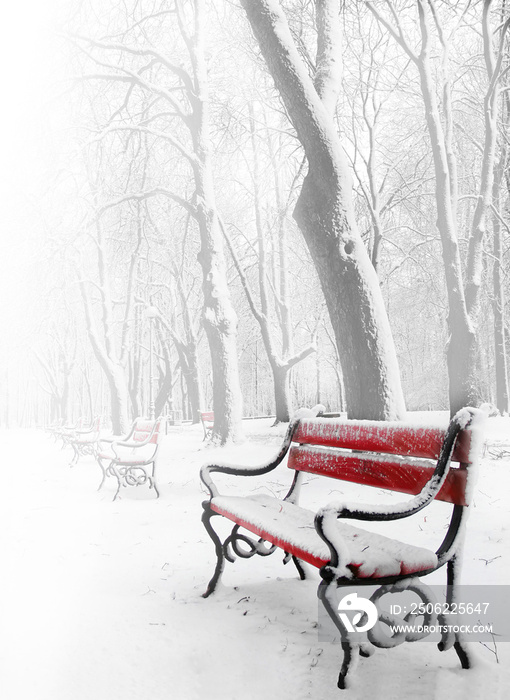 冬天雾中的红板凳