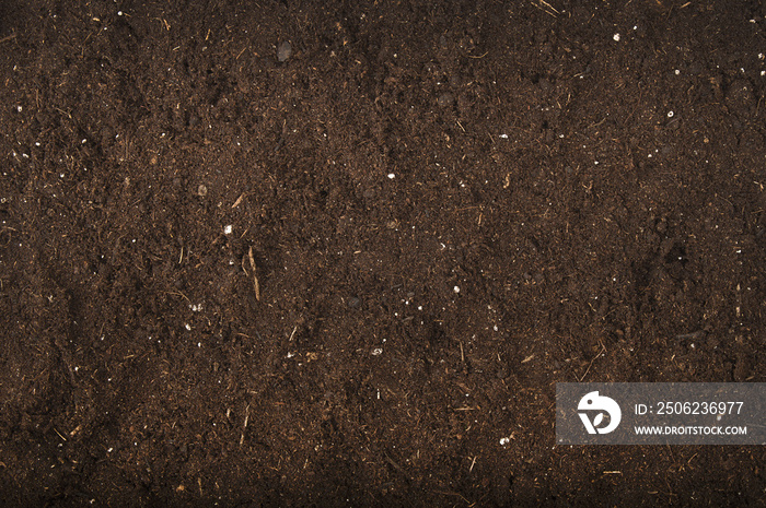 花园工作室拍摄的棕色土壤背景