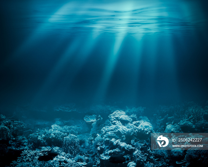 深海或水下海洋，以珊瑚礁为背景
