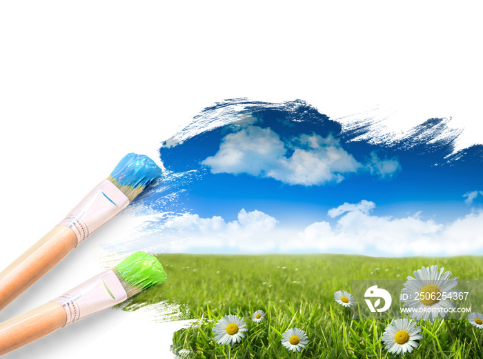 Wild daisies in the grass with a blue sky