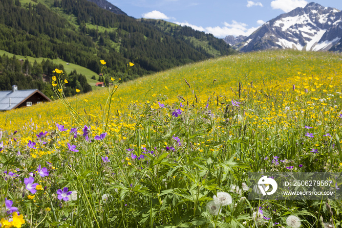 Kleinwalsertal in Österreich