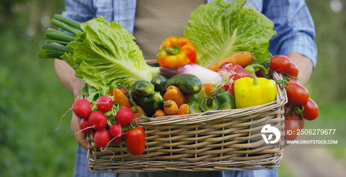 一个快乐的年轻农民在篮子里拿着新鲜蔬菜的肖像。在自然的背景下