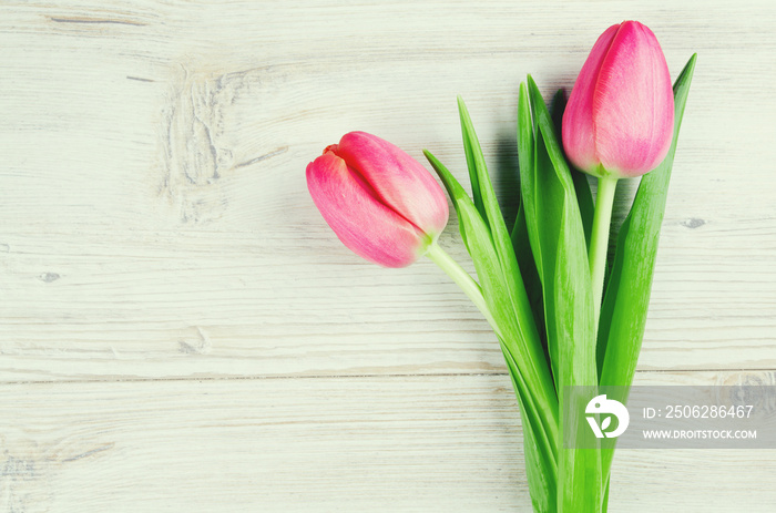 two pink tulips on white wooden surface