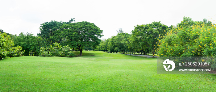 大城市公园绿地全景图