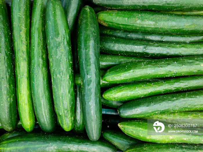 Fresh clean cucumber on the market .