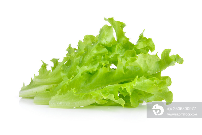  lettuce on white background