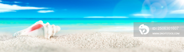 Seashell On White Sand Seashore With Tropical Water, Blue sky, White Clouds, And Sunshine With bokeh