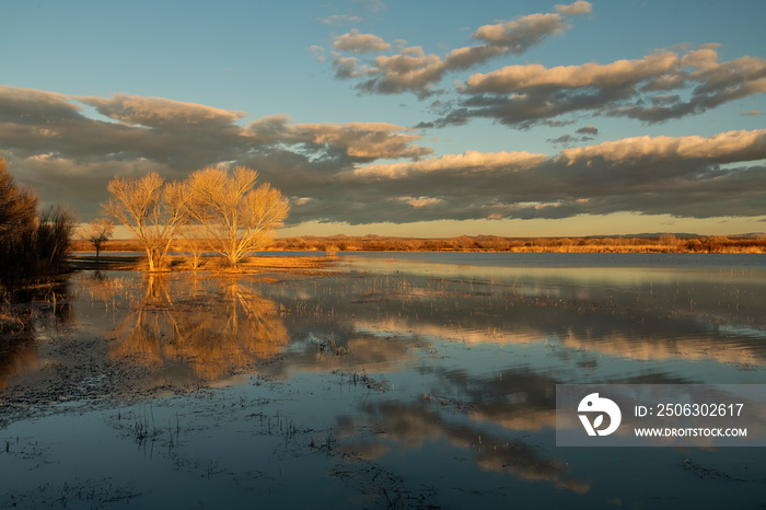 Winter reflections at sunset in lake at Bosque del Apache;  near Socorro, New Mexico 