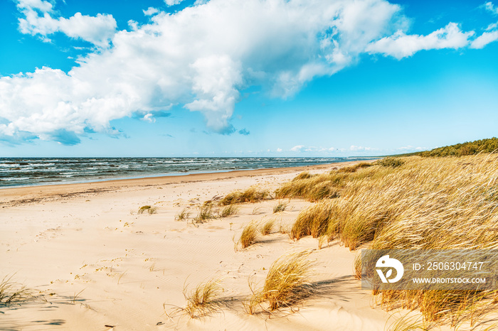 Beautiful seascape, spikelets on the background of a sandy beach sky with clouds and cold sea, Balti